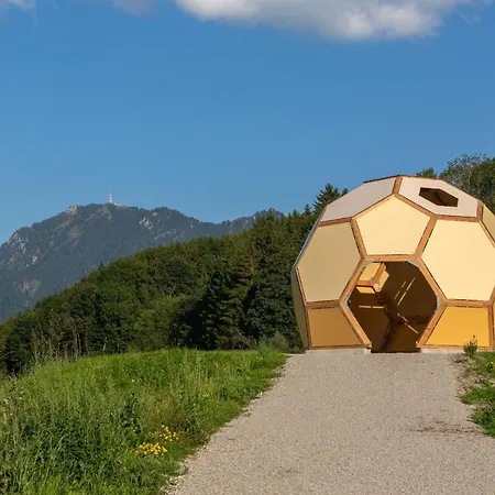 Der Bienenkorb 公寓 *